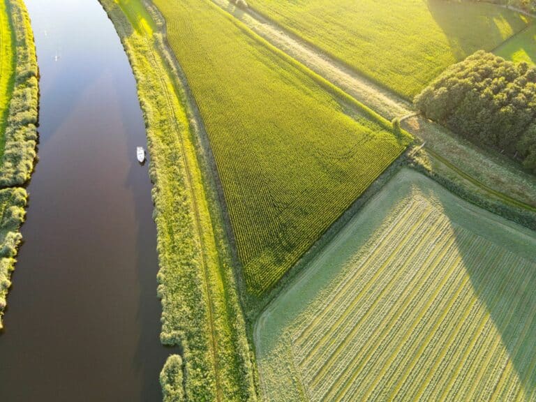 Dutch nature