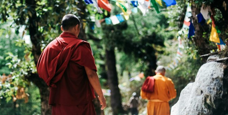 Two monks walking through a path in the forest.