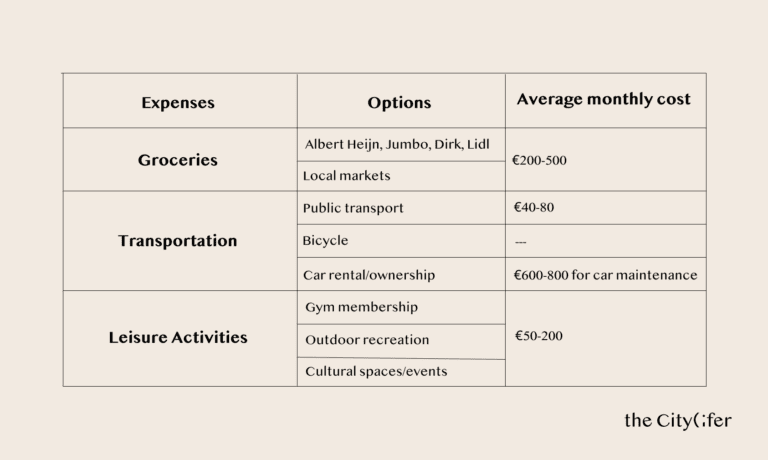 Table showing average monthly living expenses in the Netherlands, including groceries, transportation, and leisure activities.