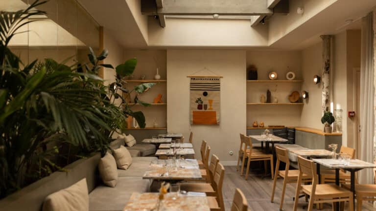 Plants and Natural Light Interior Hotel Restaurant HOY